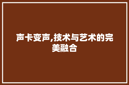 声卡变声,技术与艺术的完美融合 建站教程