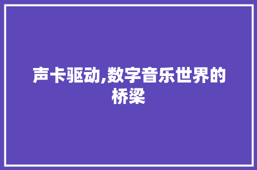 声卡驱动,数字音乐世界的桥梁 SEO教程