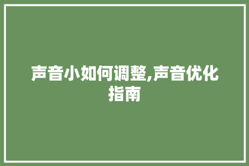 声音小如何调整,声音优化指南 WordPress教程