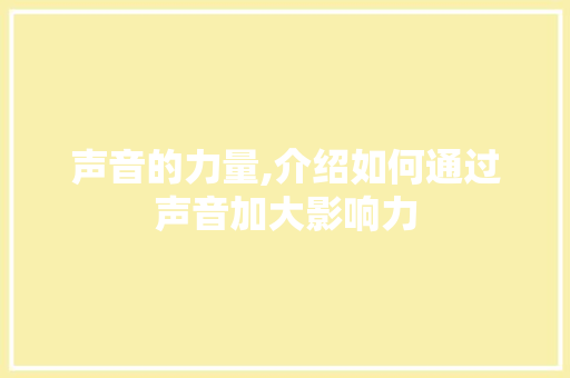 声音的力量,介绍如何通过声音加大影响力
