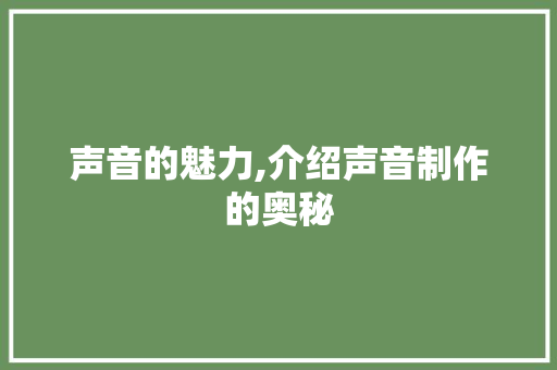 声音的魅力,介绍声音制作的奥秘