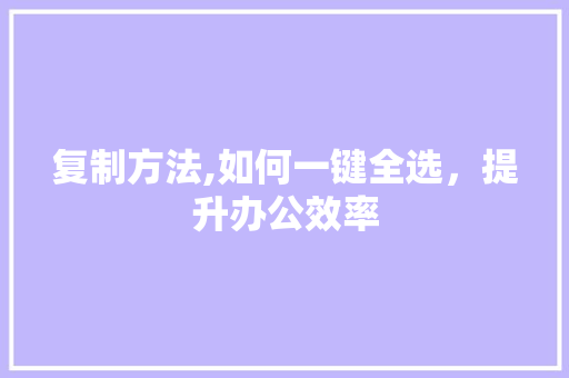 复制方法,如何一键全选，提升办公效率