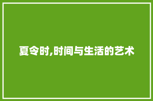 夏令时,时间与生活的艺术