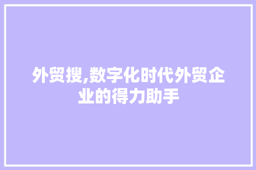 外贸搜,数字化时代外贸企业的得力助手 WordPress教程