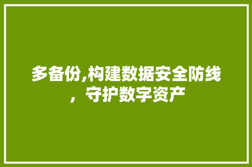 多备份,构建数据安全防线，守护数字资产