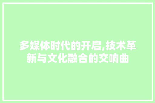 多媒体时代的开启,技术革新与文化融合的交响曲