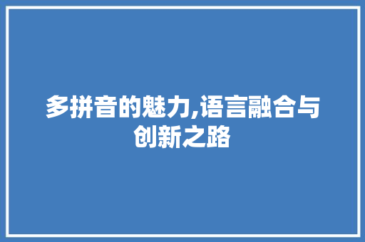 多拼音的魅力,语言融合与创新之路