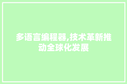 多语言编程器,技术革新推动全球化发展
