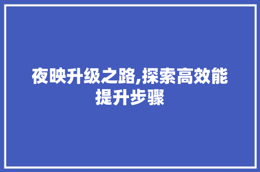 夜映升级之路,探索高效能提升步骤