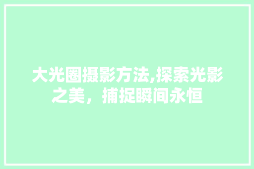 大光圈摄影方法,探索光影之美，捕捉瞬间永恒