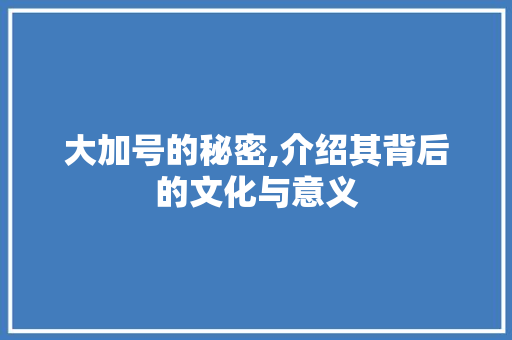 大加号的秘密,介绍其背后的文化与意义