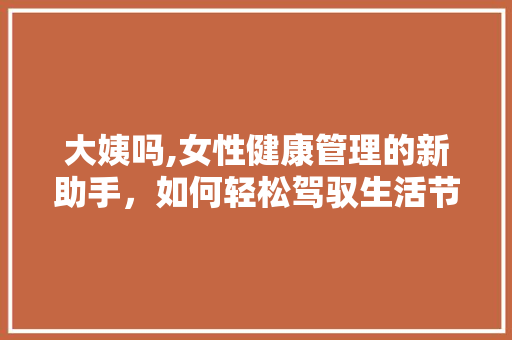 大姨吗,女性健康管理的新助手，如何轻松驾驭生活节奏