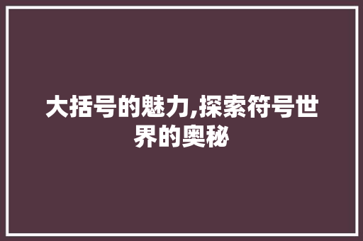 大括号的魅力,探索符号世界的奥秘
