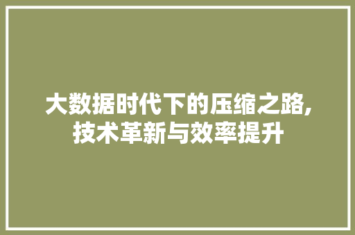 大数据时代下的压缩之路,技术革新与效率提升
