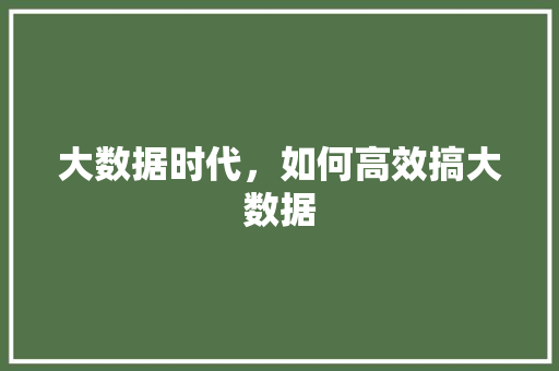 大数据时代，如何高效搞大数据