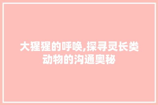 大猩猩的呼唤,探寻灵长类动物的沟通奥秘 建站教程