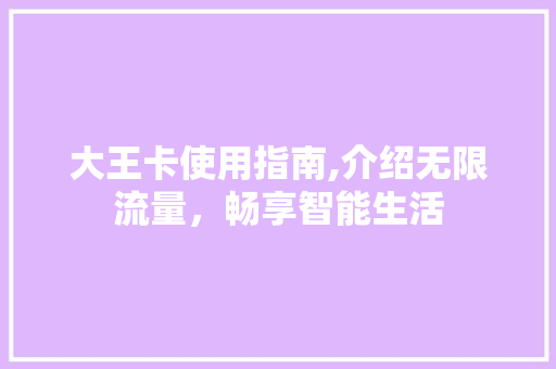 大王卡使用指南,介绍无限流量，畅享智能生活 SEO教程