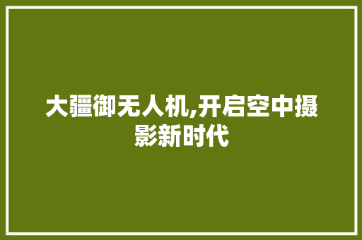 大疆御无人机,开启空中摄影新时代