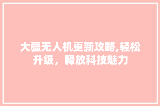 大疆无人机更新攻略,轻松升级，释放科技魅力