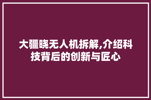大疆晓无人机拆解,介绍科技背后的创新与匠心