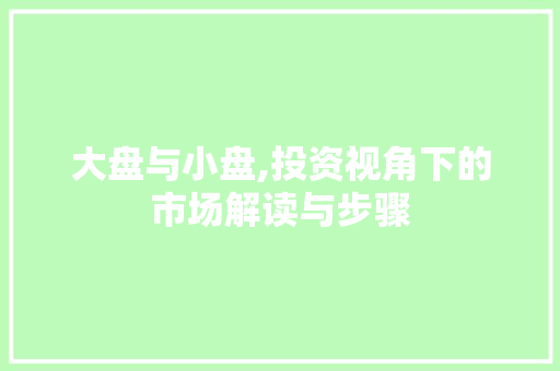 大盘与小盘,投资视角下的市场解读与步骤