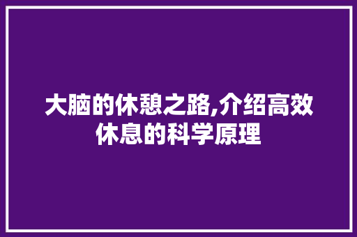 大脑的休憩之路,介绍高效休息的科学原理