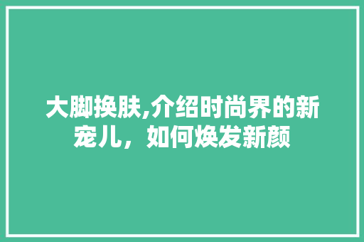 大脚换肤,介绍时尚界的新宠儿，如何焕发新颜