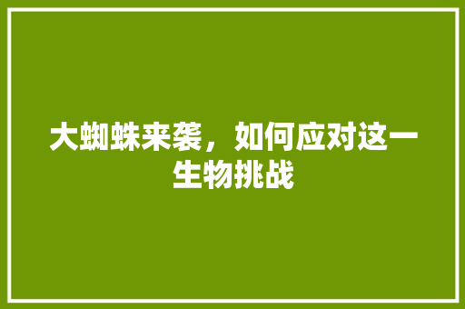 大蜘蛛来袭，如何应对这一生物挑战