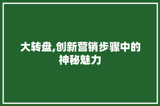大转盘,创新营销步骤中的神秘魅力