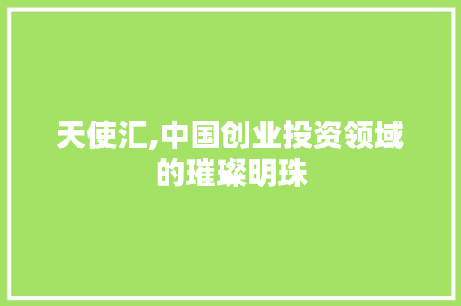 天使汇,中国创业投资领域的璀璨明珠 WordPress教程