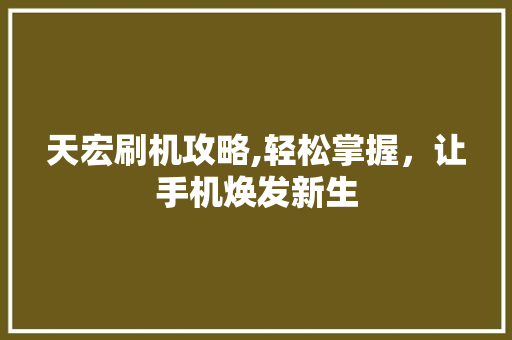 天宏刷机攻略,轻松掌握，让手机焕发新生 SEO教程