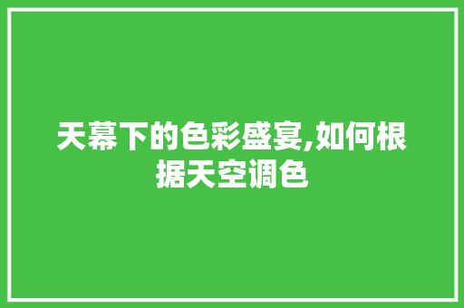 天幕下的色彩盛宴,如何根据天空调色