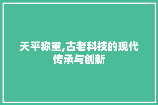 天平称重,古老科技的现代传承与创新 SEO教程