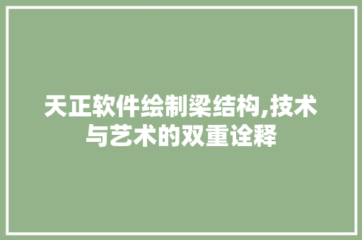 天正软件绘制梁结构,技术与艺术的双重诠释 友链在线