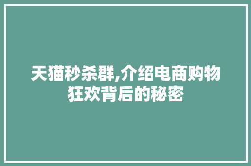 天猫秒杀群,介绍电商购物狂欢背后的秘密