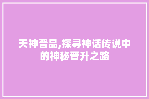 天神晋品,探寻神话传说中的神秘晋升之路 Web前端