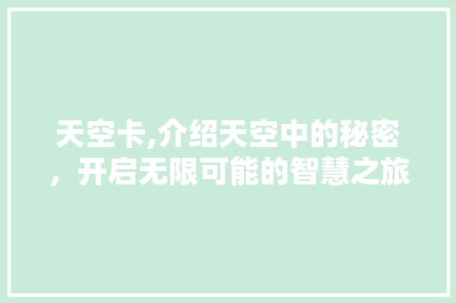 天空卡,介绍天空中的秘密，开启无限可能的智慧之旅