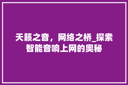 天籁之音，网络之桥_探索智能音响上网的奥秘