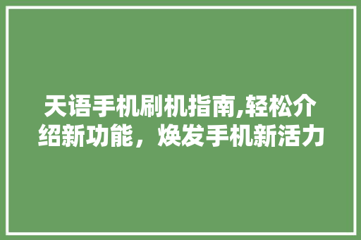天语手机刷机指南,轻松介绍新功能，焕发手机新活力