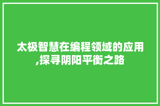 太极智慧在编程领域的应用,探寻阴阳平衡之路
