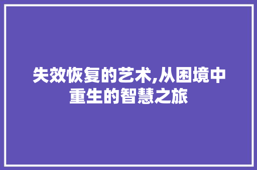 失效恢复的艺术,从困境中重生的智慧之旅 建站教程