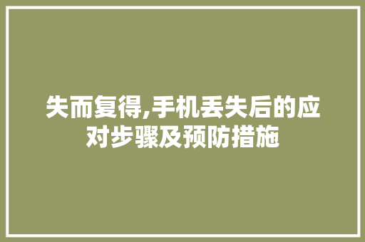 失而复得,手机丢失后的应对步骤及预防措施