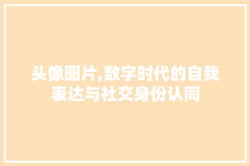 头像图片,数字时代的自我表达与社交身份认同