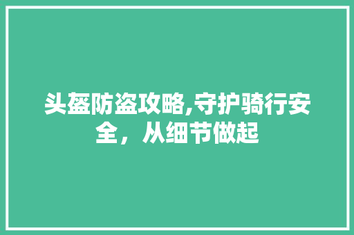 头盔防盗攻略,守护骑行安全，从细节做起