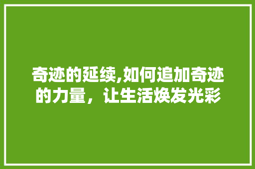奇迹的延续,如何追加奇迹的力量，让生活焕发光彩 服务器/数据库