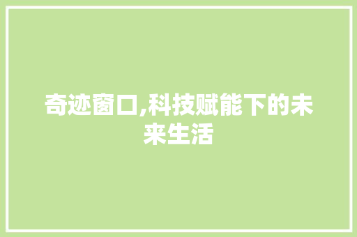 奇迹窗口,科技赋能下的未来生活 服务器/数据库