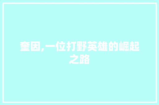 奎因,一位打野英雄的崛起之路