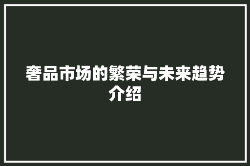奢品市场的繁荣与未来趋势介绍 SEO教程