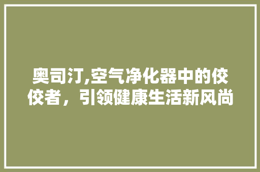 奥司汀,空气净化器中的佼佼者，引领健康生活新风尚