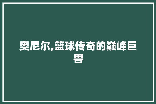 奥尼尔,篮球传奇的巅峰巨兽 WordPress教程
